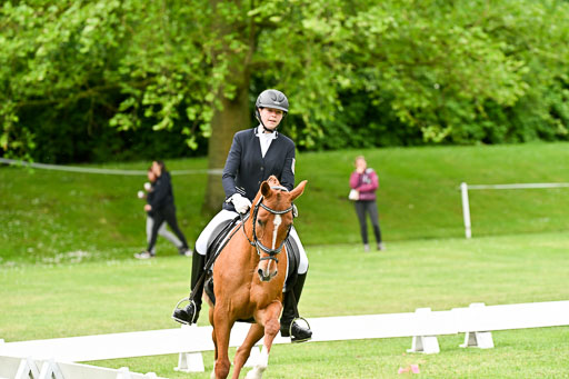  | 30052025 Dressur  (518) 