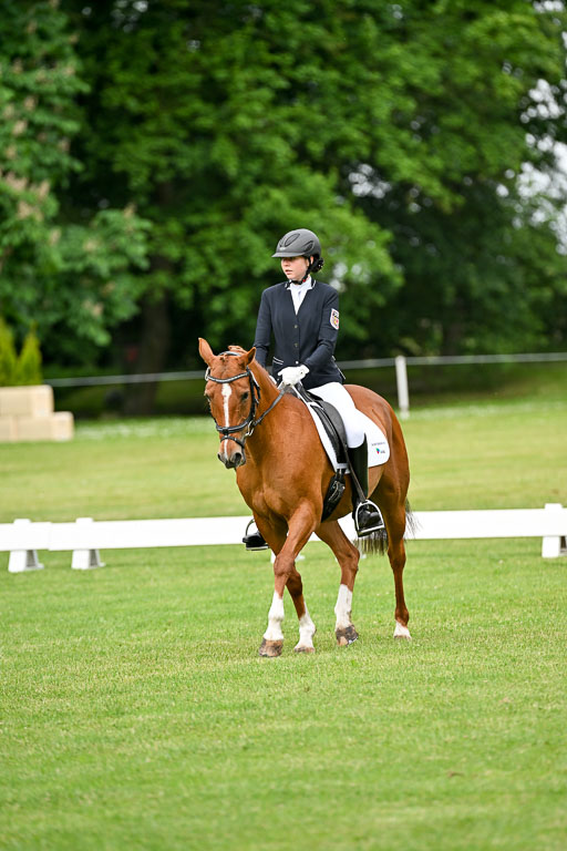  | 30052025 Dressur  (520) 