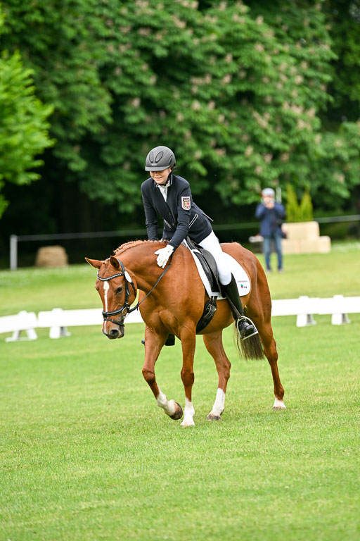  | 30052025 Dressur  (522) 