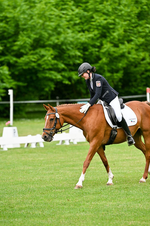  | 30052025 Dressur  (523) 