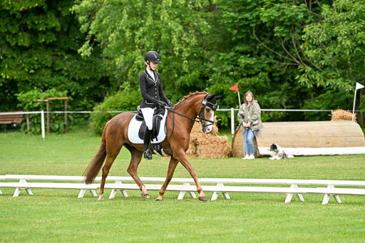  | 30052025 Dressur  (525) 