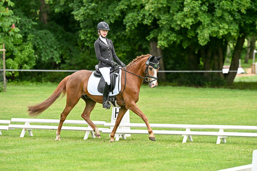  | 30052025 Dressur  (526) 