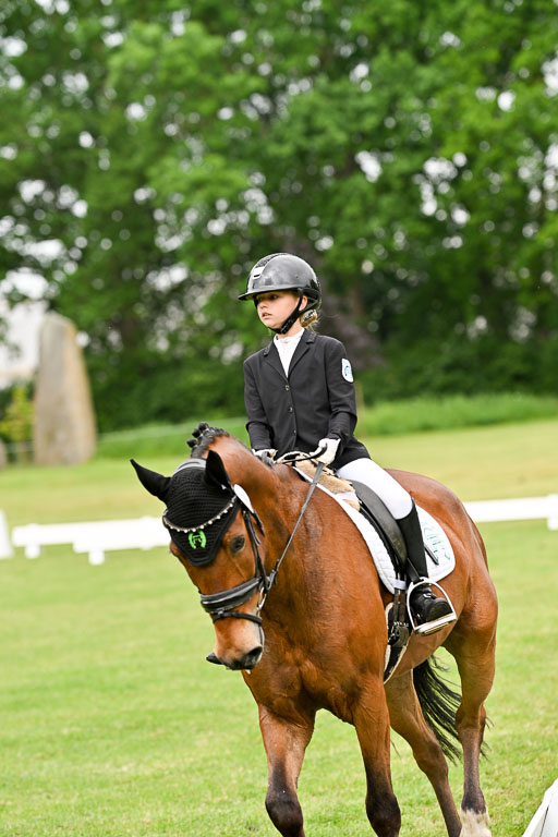  | 30052025 Dressur  (527) 