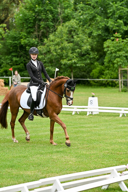  | 30052025 Dressur  (528) 