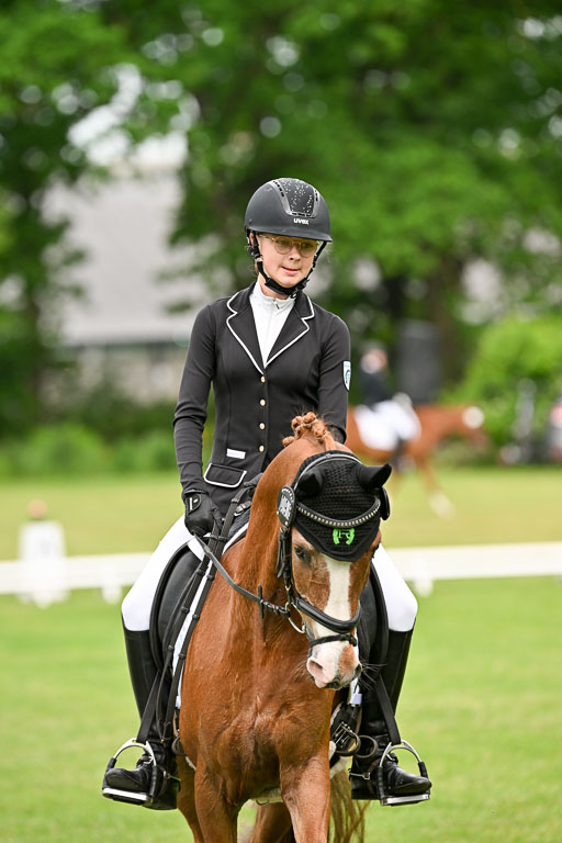  | 30052025 Dressur  (533) 