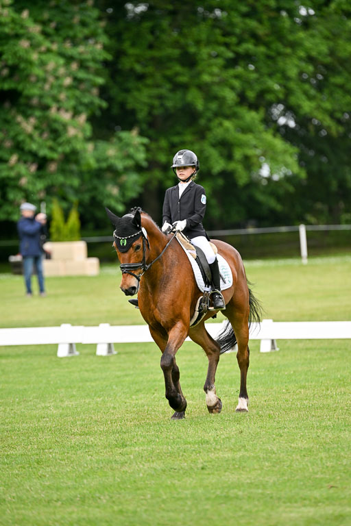  | 30052025 Dressur  (534) 