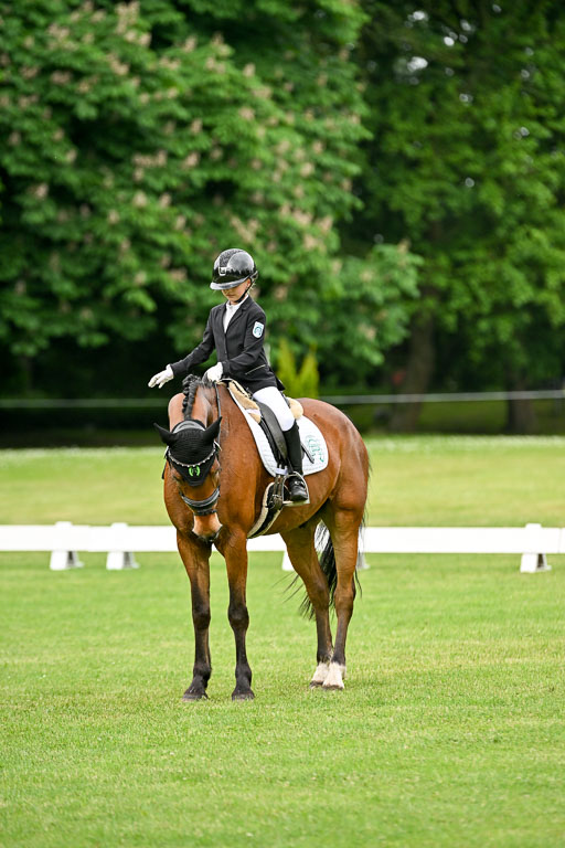  | 30052025 Dressur  (535) 