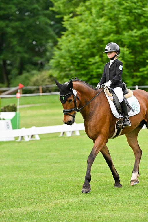  | 30052025 Dressur  (537) 