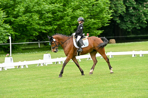  | 30052025 Dressur  (540) 