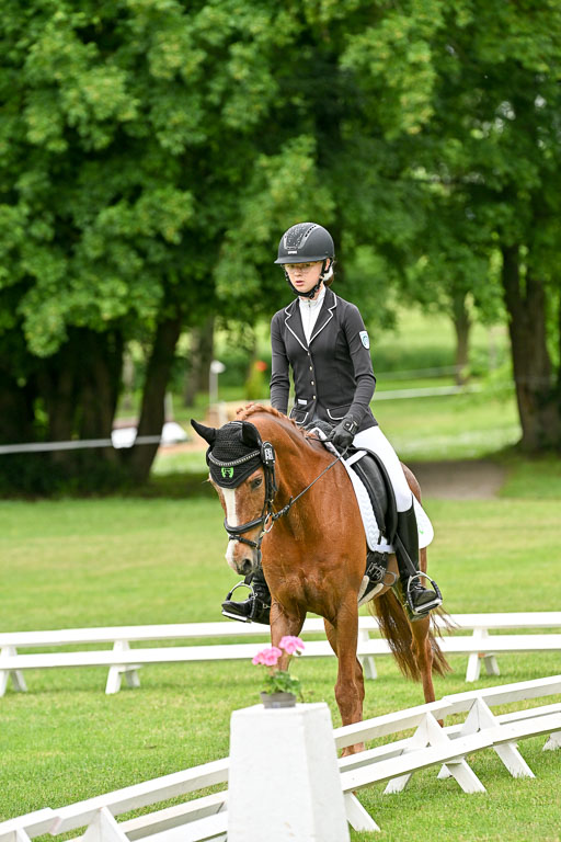  | 30052025 Dressur  (541) 