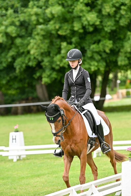  | 30052025 Dressur  (542) 