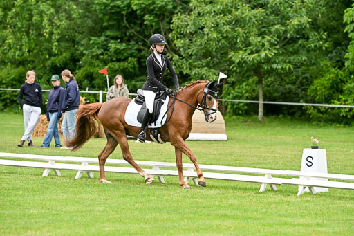  | 30052025 Dressur  (543) 