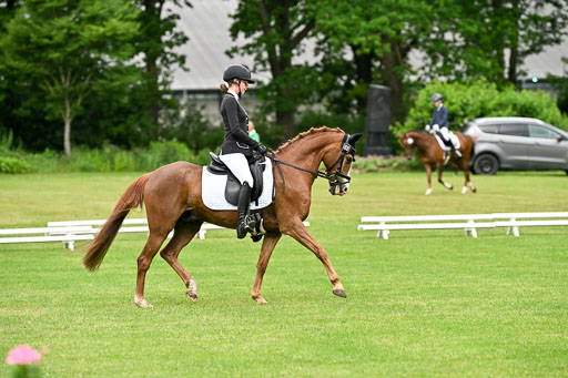  | 30052025 Dressur  (547) 