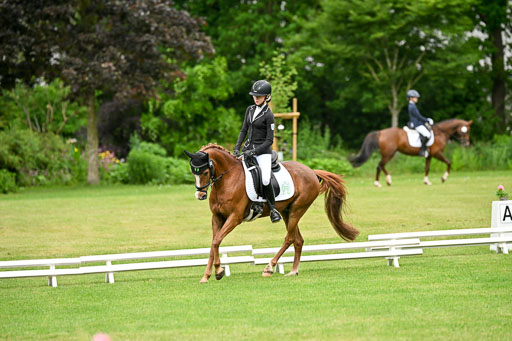  | 30052025 Dressur  (550) 