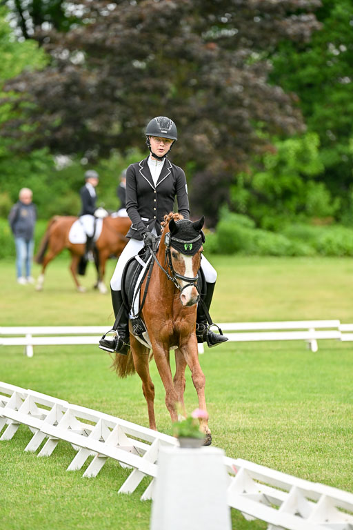  | 30052025 Dressur  (551) 