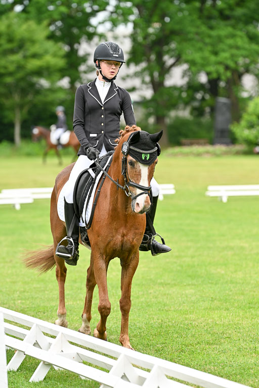  | 30052025 Dressur  (552) 