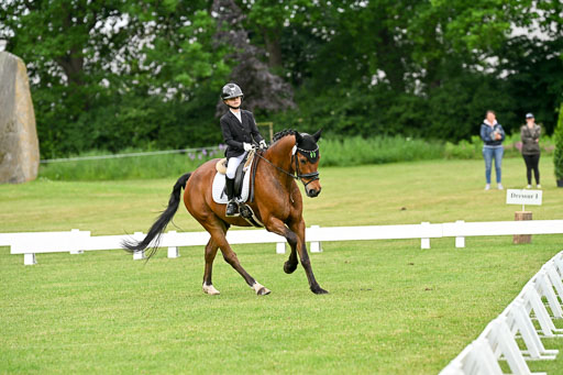  | 30052025 Dressur  (553) 