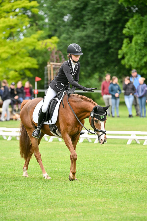  | 30052025 Dressur  (555) 