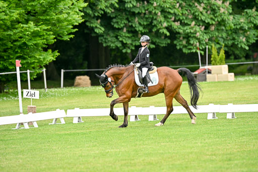  | 30052025 Dressur  (556) 