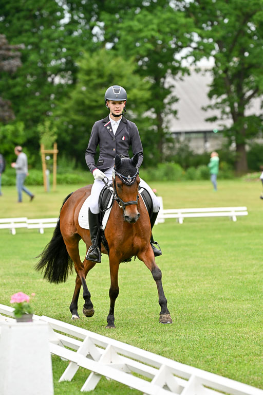  | 30052025 Dressur  (557) 