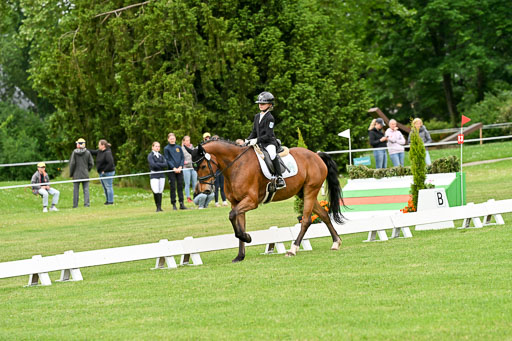  | 30052025 Dressur  (560) 