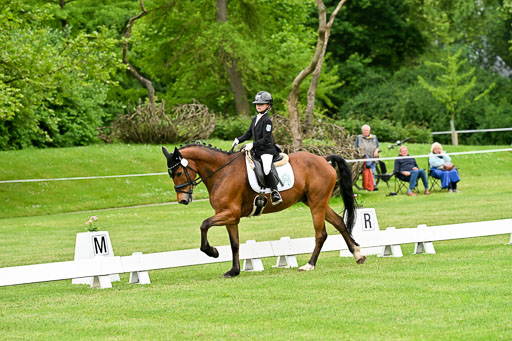  | 30052025 Dressur  (561) 