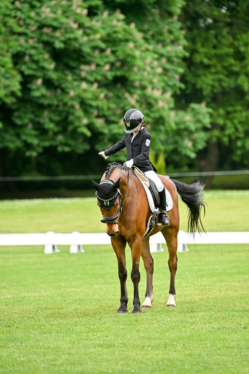  | 30052025 Dressur  (562) 