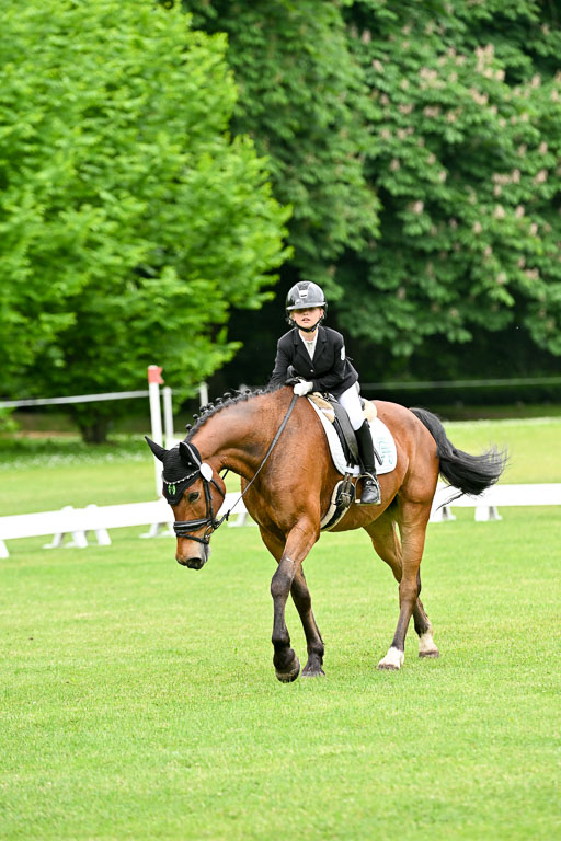  | 30052025 Dressur  (563) 