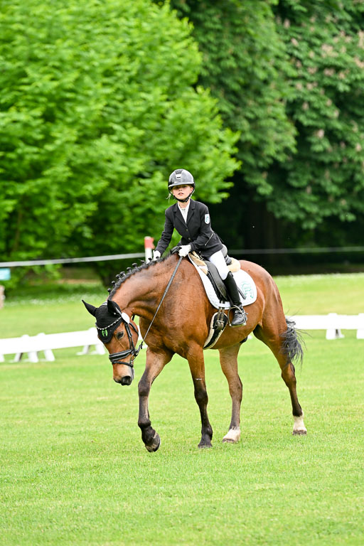  | 30052025 Dressur  (564) 