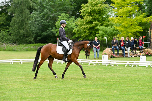  | 30052025 Dressur  (565) 