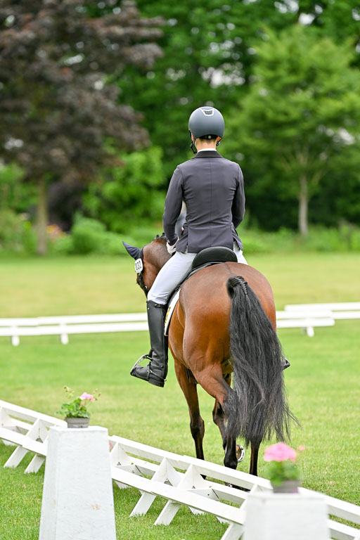  | 30052025 Dressur  (566) 