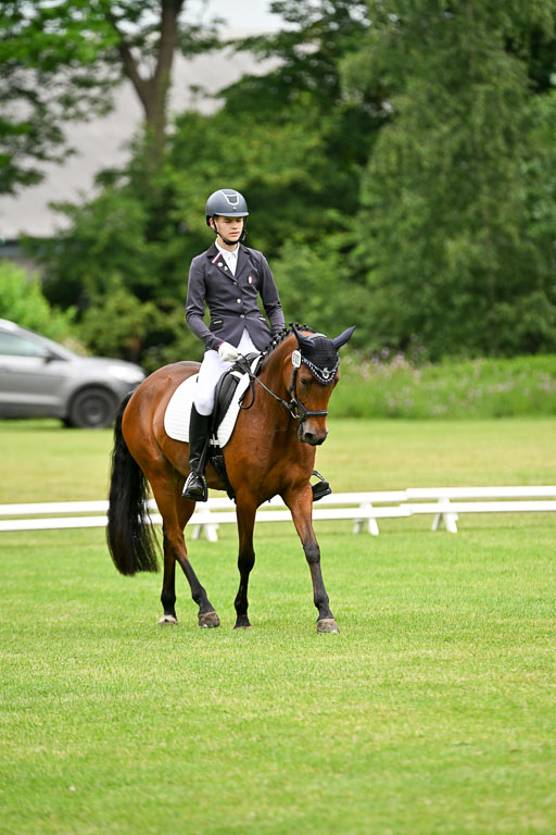  | 30052025 Dressur  (567) 