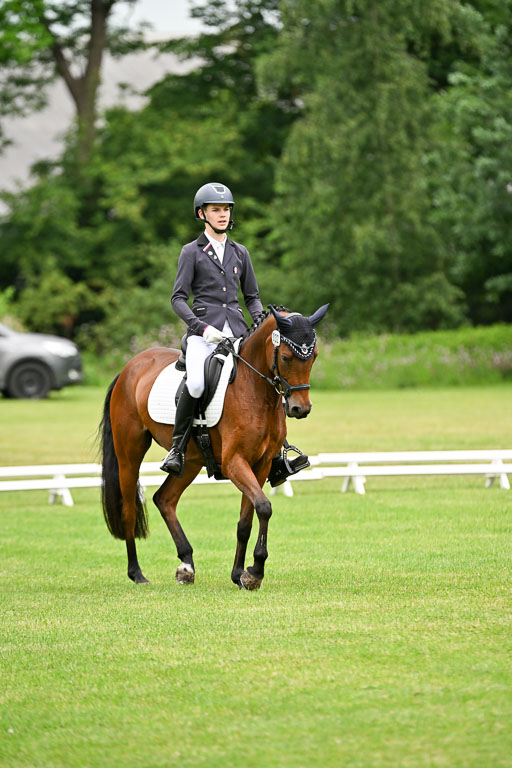  | 30052025 Dressur  (568) 