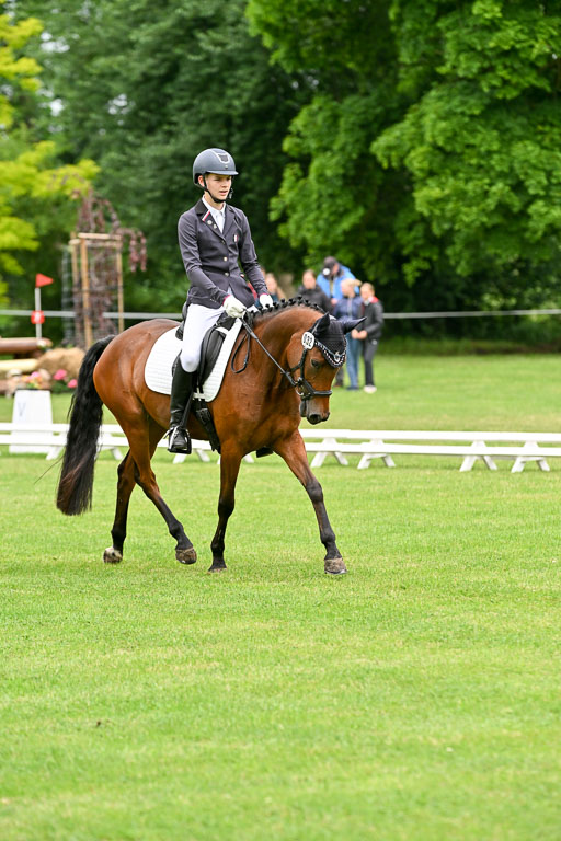  | 30052025 Dressur  (569) 