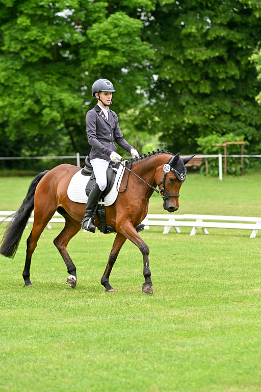  | 30052025 Dressur  (570) 