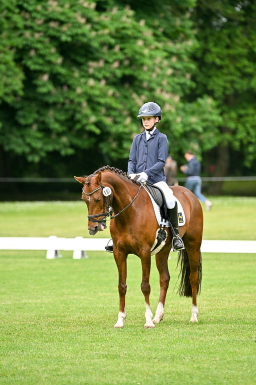  | 30052025 Dressur  (571) 