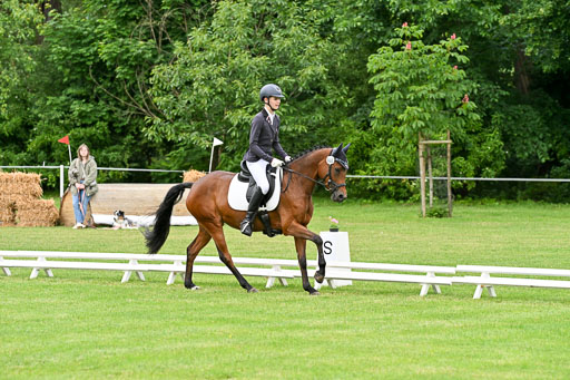  | 30052025 Dressur  (584) 