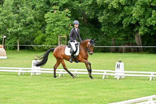  | 30052025 Dressur  (585) 