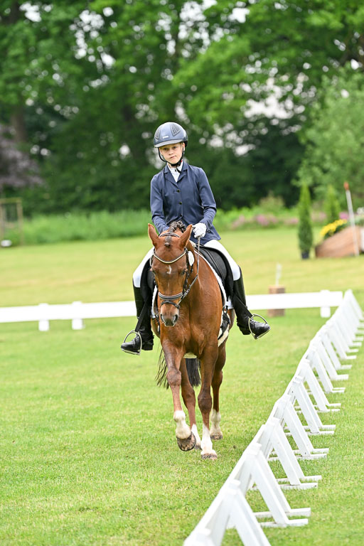  | 30052025 Dressur  (589) 