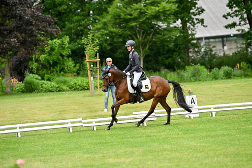  | 30052025 Dressur  (590) 