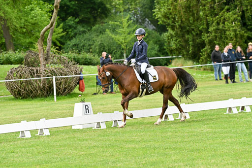  | 30052025 Dressur  (598) 
