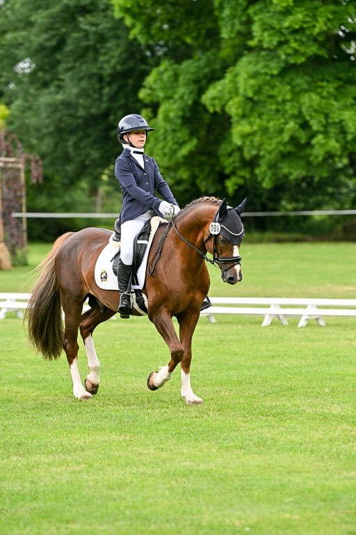  | 30052025 Dressur  (611) 