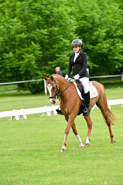  | 30052025 Dressur  (612) 