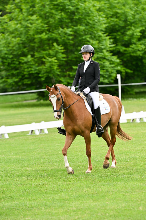  | 30052025 Dressur  (613) 