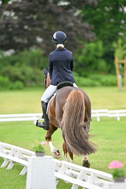  | 30052025 Dressur  (614) 