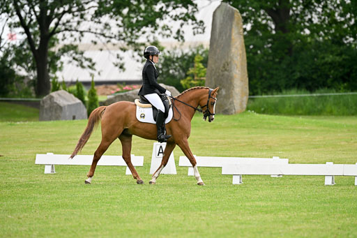  | 30052025 Dressur  (615) 