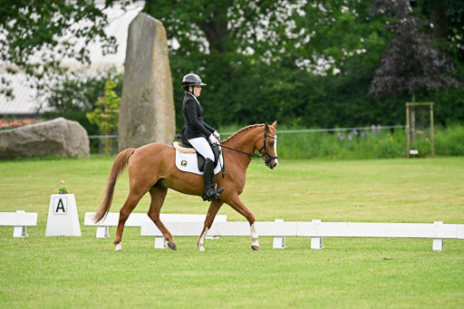  | 30052025 Dressur  (616) 