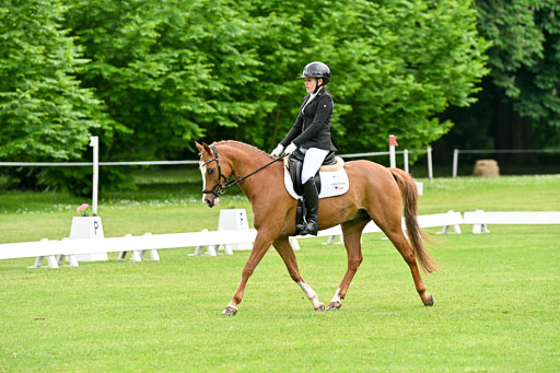 | 30052025 Dressur  (618) 