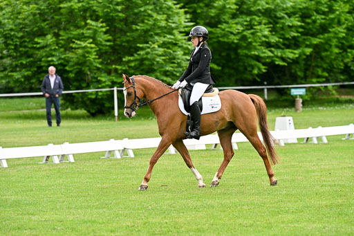  | 30052025 Dressur  (619) 