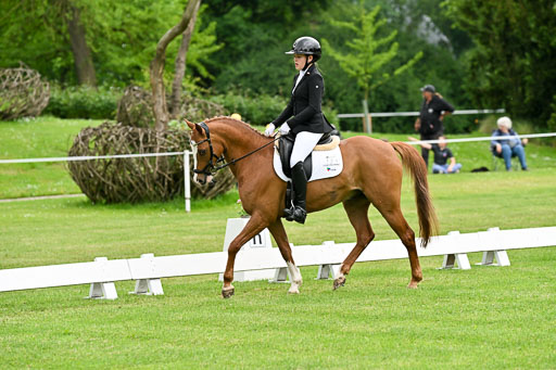  | 30052025 Dressur  (620) 